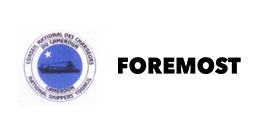 cameroon-logo cameroon-logo