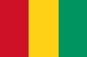 guinea-flag